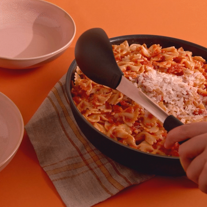 The Large Nonstick Pan